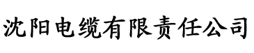 日韩中文字幕精品三区在线电缆厂logo